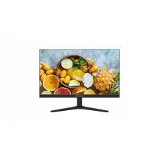 Hikvision DS-D5024FN10 Монитор